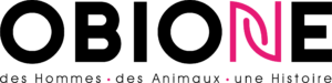 Logo Obione - nouvelle charte graphique